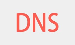 北京软件开发、DNS的基本概念、北京MK体育·(MKsports国际)有限公司软件开发