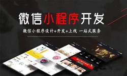 软件开发公司、定制微信小程序开发，商家需要了解哪些？MK体育·(MKsports国际)有限公司软件开发