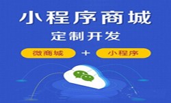 微信小程序开发、商城小程序开发功能-MK体育·(MKsports国际)有限公司软件开发